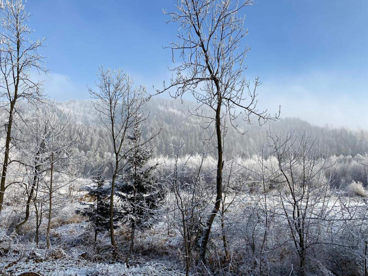 Pokoje Goscinne Pod Jaworem - Obok Pieknego Szlaku Wzdluz Rzeki Bialka, 1Km Do Stokow Kotelnica Eksteriør billede